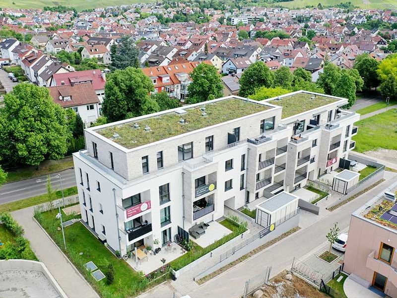 Korber Viertele, Korb
