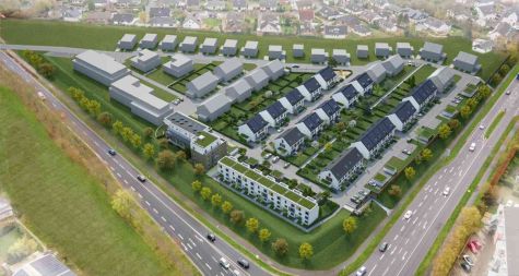MeckenheimWeinbergerGaerten_Luftbild