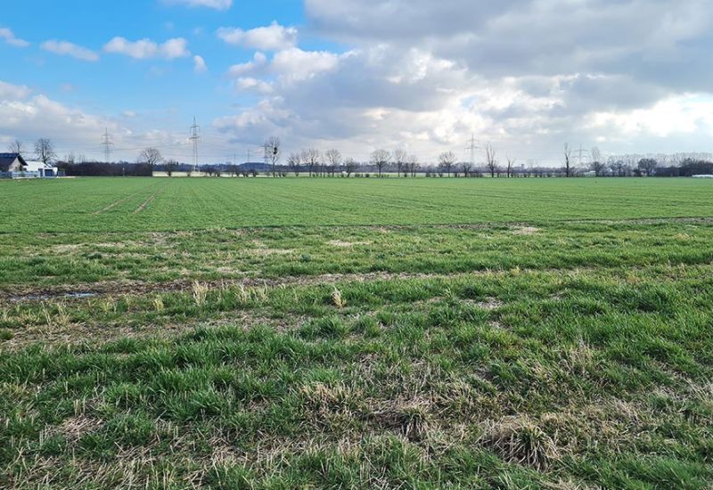 Flächen für Wohnquartier in Düren erworben